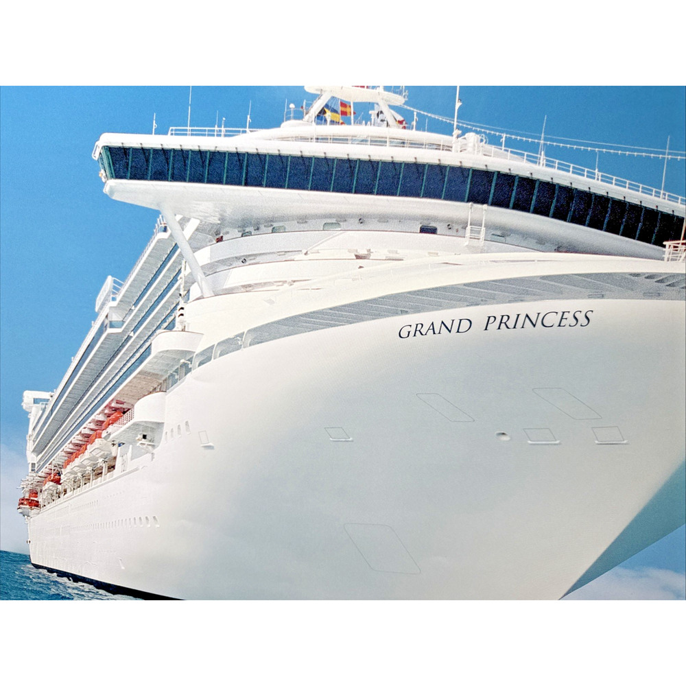 Grand Princess Cruise Ship Photo Poster Vintage 36" Caribbean Galveston Port EUC - Picture 5 of 10